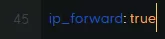 Ipforward.webp