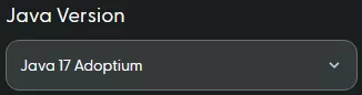 JavaVersion.webp