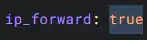 MelonCube_BungeeIPForwardTrue.webp
