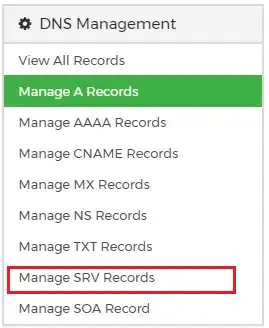 Domain_DNSManageSRVRecords.webp