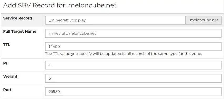 Domain_SRVRecordFields.webp